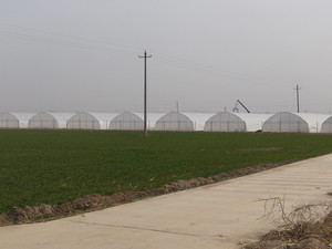 拱型温室（可移动）