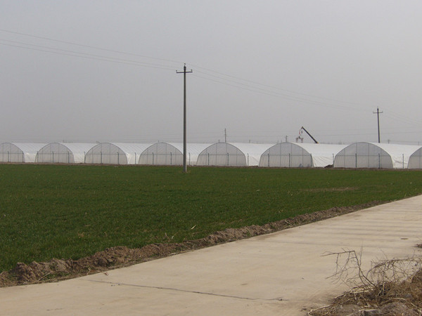 拱型温室（可移动）