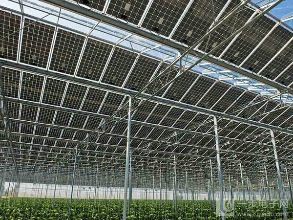 光伏温室内景