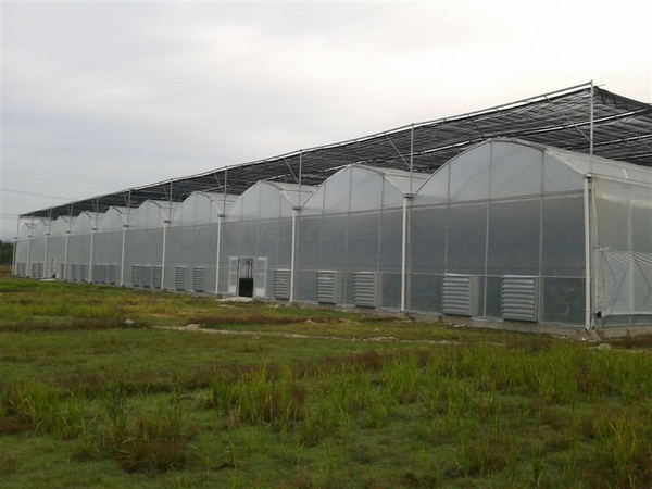 圆拱顶PC板连栋温室