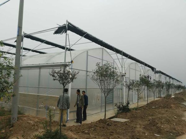 空港新城临空农业生态示范园