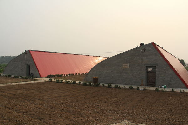 景卉专利——三角形日光温室