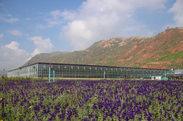 青海千紫缘太空植物种植展示温室