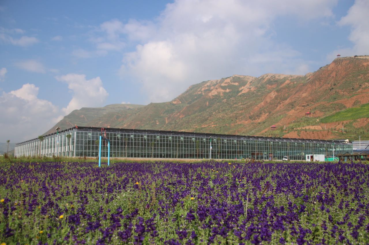 青海千紫缘太空植物种植展示温室