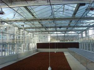 中草药晾晒温室