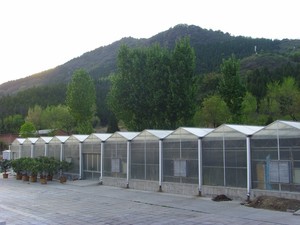 智能中草药晾晒温室