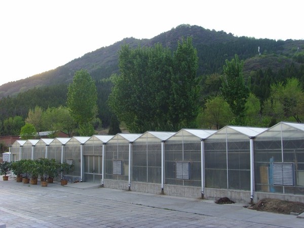 智能中草药晾晒温室