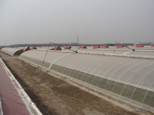 西安户县裕兴农业科技园工程