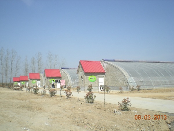  甘肃玉门顺兴农业园区日光温室工程