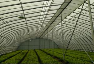 景卉专利——大跨度越冬式拱型温室