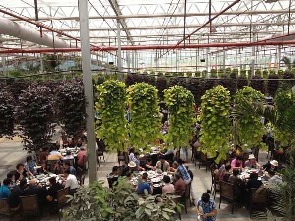  大同市奕曦生态餐厅温室工程